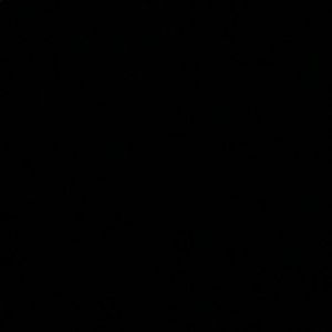 Meet your Posher, Giannna